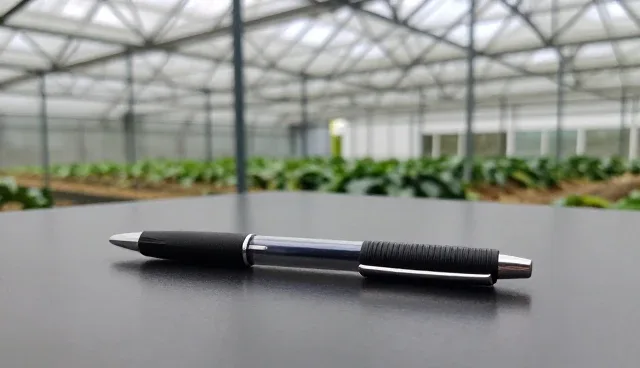 品牌项目咨询:如何提升效率与适用条件分析